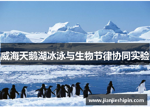 威海天鹅湖冰泳与生物节律协同实验