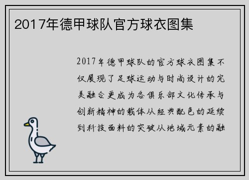2017年德甲球队官方球衣图集